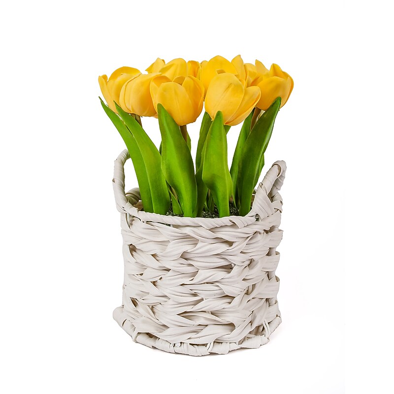 National Tree Company 10" Yellow Tulip Bouquet in White Basket (MT81-10926GYW-1) image 1