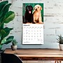 2027 BrownTrout Labrador Retriever Puppies 12" x 12" Monthly Wall Calendar (9798330712519)~#|#~76423D89-18C2-4707-9AAED0BFDC71AD24_sc7