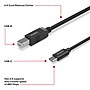 Staples TECH 6 ft. USB-C to USB-B 2.0 Cable, Male to Male, Black (ST62444)~#|#~7643D21A-FF9D-4D82-8308301C7D40F529_sc7