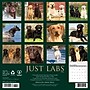 2026 Willow Creek Labs 12" x 12" Monthly Wall Calendar (51733)~#|#~76462F3B-0DBE-46F6-B768FD22E63D9FBC_sc7