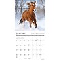 2027 Willow Creek What Horses Teach Us 7" x 7" Monthly Wall Calendar, Assorted Colors (64290)~#|#~76467BF7-5B85-490D-A0AEC22D81DDF87F_sc7