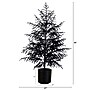 Nearly Natural Artificial Halloween Real Touch Black Norfolk Pine Christmas Tree, 4' (T5242)~#|#~764AC98E-88FC-4D66-97AB849F0F582605_sc7