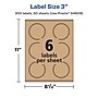 Avery Laser/Inkjet Burst Multipurpose Labels, 3" Dia., Kraft Brown, 300 Labels/Box ( 94609)~#|#~7655DB88-F19F-474C-B14A8AAAC617CC9B_sc7