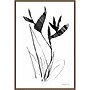 Amanti Art Paradise Botanicals I by Danhui Nai Framed Canvas Wall Art Print, 23" x 33" (A42678302435)~#|#~767D35A9-1165-44E8-956C0D1BF8EEAFEF_sc7