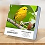 2027 TF Publishing Birds: Backyard 5.25" x 5.25" Daily Day-to-Day Calendar, Multicolored (27-3068)~#|#~7687ABAC-42C2-4CE1-B568116123818ACF_sc7