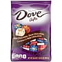 DOVE PROMISES Holiday Gifts Assorted Chocolate Candy Bag, 24 oz (MMM59124)~#|#~768EB241-1FB3-4EB3-828C3F9B1A76EC37_sc7