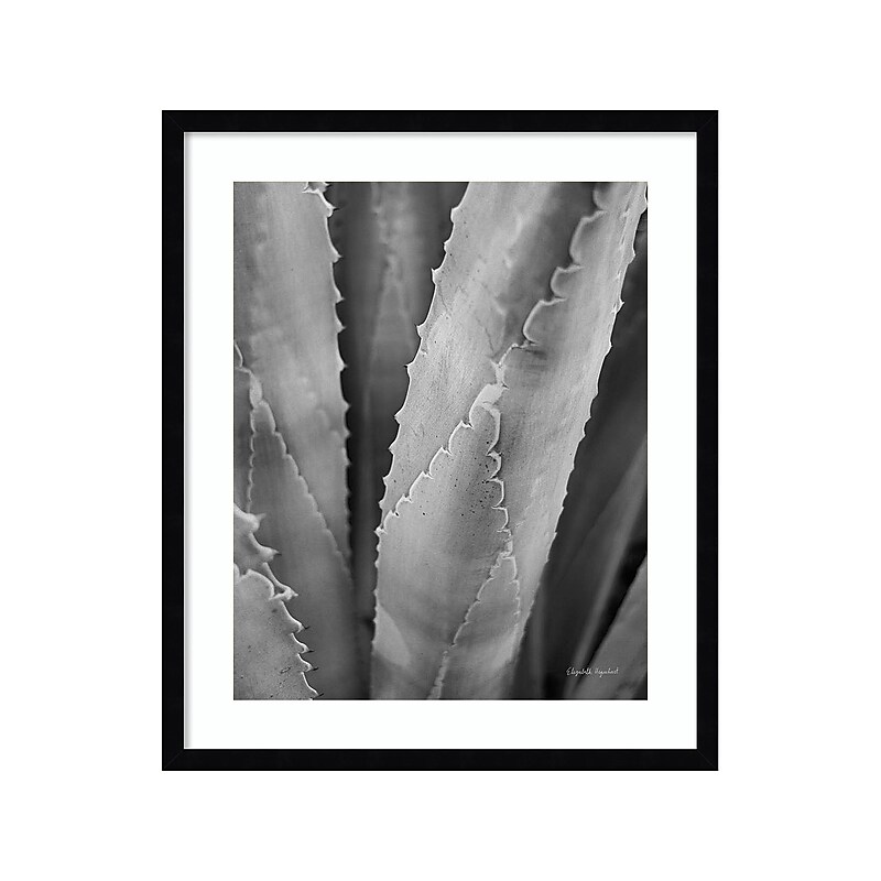 Amanti Art Abstract Agave I, Paper, 21" x 25" (A42675516734) image 1