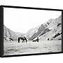Amanti Art Moke Lake Horses IV by Laura Marshall Framed Canvas Wall Art Print, 23"W x 16"H (A42678809351)~#|#~7694D7A5-8BCF-48B7-9C8F2CF10D2E0DC3_sc7