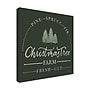 Trademark Fine Art Becky Thorns Vintage Christmas Sign I Green Sq Canvas Art, 24" x 24" (WAP31955-C2424G)~#|#~76A369F9-B454-4EF8-A98C01D62EE5CDA0_sc7