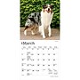 2027 BrownTrout Australian Shepherds 7" x 7" Monthly Wall Calendar, Assorted Colors (9798330709878)~#|#~76A5E4F5-6707-4EB4-9854D95B6F200489_sc7
