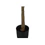 Monarch Specialties Inc. 47" Artificial Fiddle Tree in Pot (I 9515)~#|#~76CD25A8-DD50-4C3F-AEB67E858974E71C_sc7