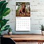 2026 BrownTrout Chocolate Labrador Retrievers 12" x 12" Monthly Wall Calendar (9798330704255)~#|#~76DD586C-B315-4129-B71005C2A70A04EF_sc7