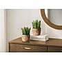 Monarch Specialties Inc. 7" Artificial Succulent Plants, 2/Set (I 9367)~#|#~76DF3EED-F7D5-4674-937EE72F1EE1FC2E_sc7