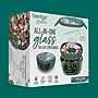Bentgo Glass All-in-One Salad Container, 5-Compartment, Sea, 61 oz. (BGLSLPT-FLSE)~#|#~76E3136A-111C-4D24-9297B08A6410541C_sc7