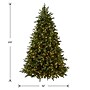 National Tree Company Princeton Fraser Fir Artificial Christmas Trees, 6.5 ft. (PEPO2-D08-65)~#|#~770FB3DA-9425-4687-A858B802294359E6_sc7