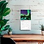 2026 BrownTrout Aurora Borealis 7" x 7" Monthly Wall Calendar (9798330708055)~#|#~771502F1-03C4-4D46-A99DC9F6B704B6BA_sc7
