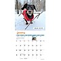 2026 Willow Creek Crusoe the Celebrity Dachshund 7" x 7" Monthly Wall Calendar (53539)~#|#~77400FCE-63D1-40A5-AFAC39EEE6576FD3_sc7