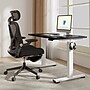 FlexiSpot E2 42''W Electric Adjustable Standing Desk, Black/White (E2W4224B)~#|#~7742B96D-498B-4E17-8CB0CD825E3EFB0A_sc7