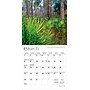 2026 BrownTrout National Parks 7" x 7" Monthly Wall Calendar (9798330704781)~#|#~77444926-1E97-4702-8711C82283EA3592_sc7
