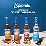 Splenda Hazelnut Sugar-Free Syrup, 6/Carton (HFP00695)~#|#~7747F9A0-02F1-4B39-B1880AFA7D821607_sc7