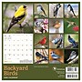 2026 TF Publishing 12" x 17" TF Publishing 7" x 7" Backyard Birds Mini Calendar 26-2013~#|#~775094DA-E5E1-4C87-95A1E24494E9F5FA_sc7