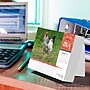 2026 BrownTrout Chickens 6.06" x 5.13" Day-to-Day Calendar (9798330702855)~#|#~775FE661-1937-4513-AFDD2F6B5BD2F46E_sc7