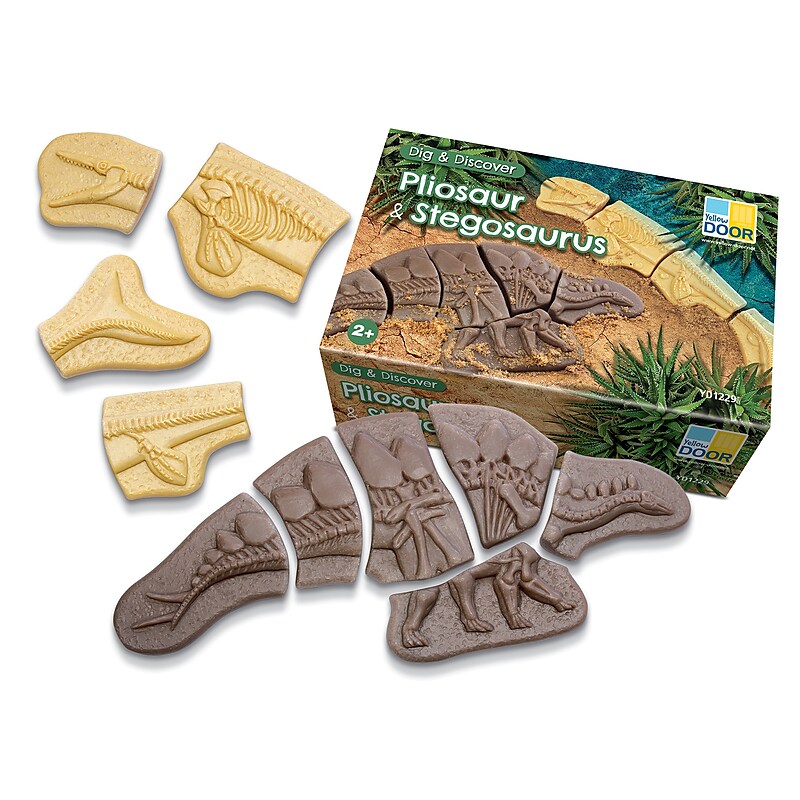 Yellow Door Dig and Discover Pliosaur & Stegosaurus, Assorted Colors, 10/Set (YUS1229) image 1