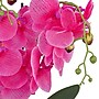 National Tree Company 21" Purple Orchid Flower in White Basket (MT81-PH0254PPR)~#|#~77A913E7-3448-4A46-A5D162D61F133898_sc7