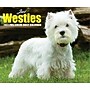 2027 Willow Creek Westies 5.4" x 6.2" Day-to-Day Calendar (63811)~#|#~77E076A9-B7A4-40CB-931E81F977670656_sc7