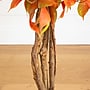 Nearly Natural 3' Autumn Ficus Artificial Fall Tree (T4772)~#|#~60A76BCF-0606-4031-BECEAB3CA4149416_sc7