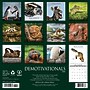 2026 Willow Creek Demotivationals 12" x 12" Monthly Wall Calendar (50965)~#|#~780CFB69-8FD2-4F76-8FFDF8D0A35043B5_sc7