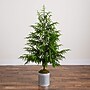 Nearly Natural Artificial Real Touch Norfolk Island Pine in Metal Tin Planter, 5' (T5385)~#|#~780F1265-5C6F-44B8-AC0991E8289F1EC7_sc7
