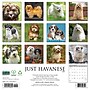 2027 Willow Creek Havanese  12" x 12" Monthly Wall Calendar (60629)~#|#~784356C9-F1AC-4B40-BC558C1D8DB9EC5C_sc7