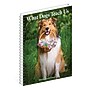 2026 Willow Creek What Dogs Teach Us 6.5" x 8.5" Daily & Monthly Personal Organizer (54673)~#|#~787F413A-2DD9-465E-9A4F9D64BA6EA3CA_sc7