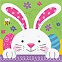 Say Hooray! Bunny Bliss Easter Disposable Paper Plates and Napkins Set, 48/Pack (DTC9626E2G)~#|#~7885C26C-3952-4D1C-8066B58523705B24_sc7