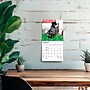 2027 BrownTrout Chickens 7" x 7" Monthly Wall Calendar, Assorted Colors (9798330709786)~#|#~78AA3F3D-FD45-45B9-8B8A3042A3B41B44_sc7