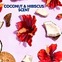 Softsoap Liquid Hand Soap Refill, Coconut & Hibiscus Scent (US07162A)~#|#~78AF5E4F-2CAD-4A29-BEE97761B99F5F3A_sc7