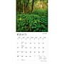 2027 BrownTrout Maryland Wild & Scenic 12" x 12" Monthly Wall Calendar (9798330714353)~#|#~78C0B874-E184-4500-8E3603E8A32E68E0_sc7