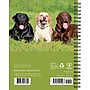 2026 Willow Creek What Labs Teach Us 6.5" x 8.5" Weekly Planner, Paperboard Cover (55267)~#|#~78C1E092-94CE-41AE-BA2481BA116AB9FD_sc7