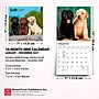 2027 BrownTrout Lab Puppies 7" x 7" Monthly Wall Calendar (9798330710027)~#|#~78D9DCD7-453D-4CFB-9202C4250C53102C_sc7