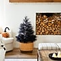 Nearly Natural Artificial Halloween Black Pampas Grass Christmas Tree, 4' (T5215)~#|#~78DD5F16-6763-42F6-BA46F2EE2EE381A8_sc7