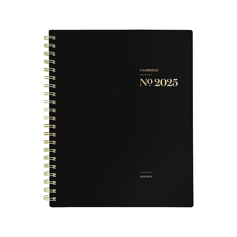 2025 Cambridge WorkStyle Classic 8.5" x 11" Weekly & Monthly Planner, Poly Cover, Black/Gold (1606-905-05-25) image 1