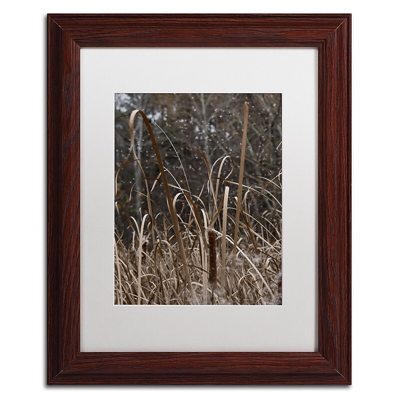 Trademark Fine Art Kurt Shaffer 'Cattail Seeds in Flight' 11 x 14 (KS01029-W1114MF) image 1