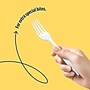 Perk™ Polystyrene Fork, Medium-Weight, White, 300/Pack (PK56401)~#|#~78F3FC32-A841-4787-8872A4EB68B0A03F_sc7