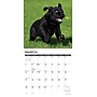 2027 Willow Creek Black Lab Puppies 12" x 12" Monthly Wall Calendar, Assorted Colors (59265)~#|#~79087449-F971-449C-9FAF10B0E32EA77F_sc7