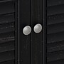 Bush Furniture Fairview Small Storage Cabinet with Doors, Antique Black/Hansen Cherry (WC53996-03)~#|#~791D7E0F-4FDC-4470-BE6214E7AC9691B3_sc7