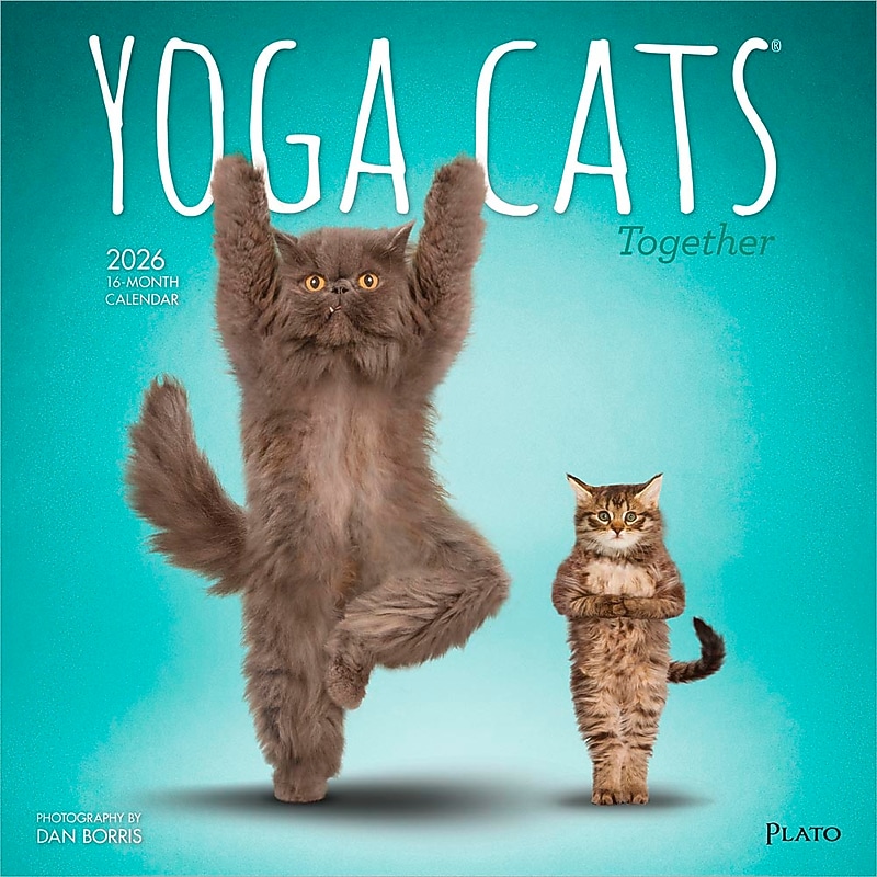 2026 Plato Yoga Cats Together 12" x 12" Monthly Wall Calendar (9798330701926) image 1