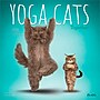 2026 Plato Yoga Cats Together 12" x 12" Monthly Wall Calendar (9798330701926)~#|#~7921D21C-6E8C-4D16-A1D50174C9A39B28_sc7