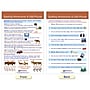 NewPath Learning Spelling Rules Bulletin Board Chart Set, 12" x 18", 7/Set (NP-923501)~#|#~792A20FA-CC28-412A-97D284AC1147B753_sc7