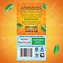 Twinings Iced Cold Brewed Mint Green Tea Bags, 20/Box (F07413)~#|#~7936B6F1-1F54-43AF-9884534E16C0E4A1_sc7